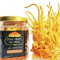 Nấm Đông Trùng Sấy Thăng Hoa Loại 1 - Hủ 10g