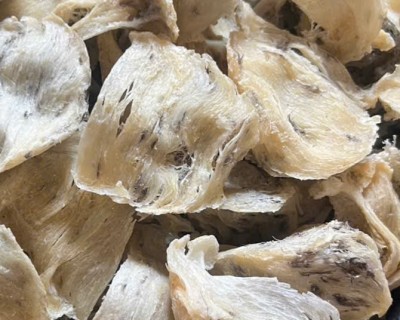 Tổ Yến Bánh Mì Là Gì? Đặc Điểm Của Tổ Yến Bánh Mì?