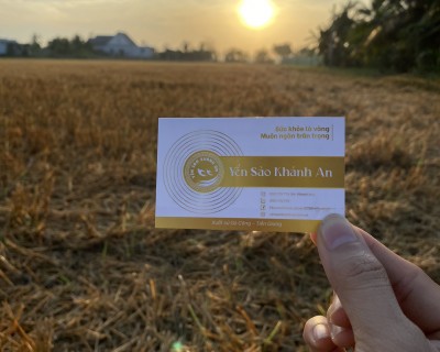 Vấn Nạn Bắt Chim Yến Để Bán Phóng Sinh Hoặc Làm Món Ăn – Hệ Lụy Khôn Lường Cho Hệ Sinh Thái Và Ngành Yến Việt Nam